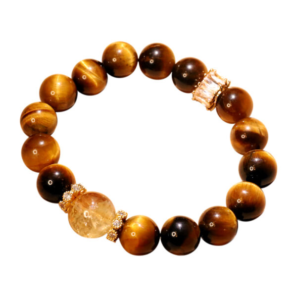 Amber Determination - Image 2